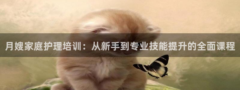 杏悦平台代理注册