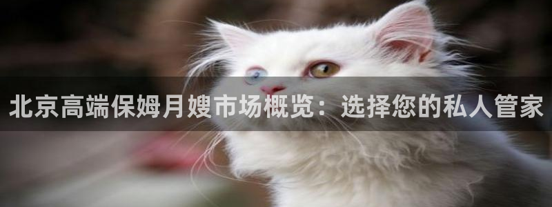 杏悦平台可靠吗是真的吗知乎